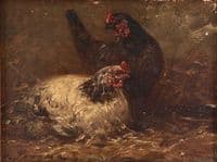 Poultry