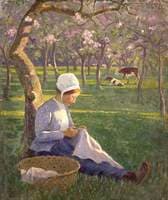 In the Orchard