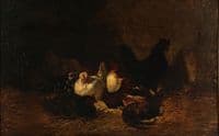 Poultry