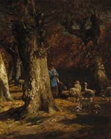 The Old Forest