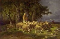Sheep