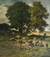 Sheep