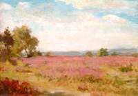 Barossa Common, Surrey