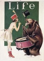 The Bear Trainer