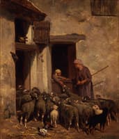 Return of the Flock