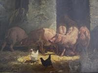 Pigs and Poultry