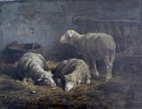 Three Sheep in a Barn