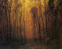 Deep Woods in Fall