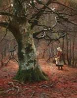 The Old Beech Tree