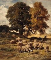 Sheep in the Pastures