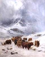 Caledonia, Stern and Wild
