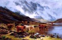 Highland Cattle