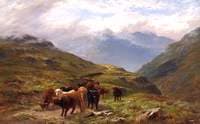 Highland Cattle, a Mountain Road, near Ballachulish, Argyll