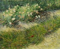 Lawn with Butterflies