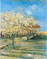 Orchard in Blossom