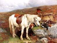 On the Moors