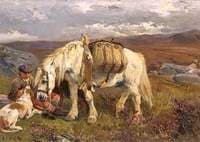The Keeper's Pony