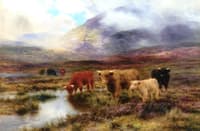 On a Scottish Moorland