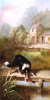 The Dog and the Piece of Flesh