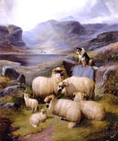 Guarding the Flock