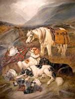 Pack Horse and Dogs