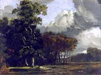 Woodland Landscape