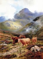 Coming down from the Hills