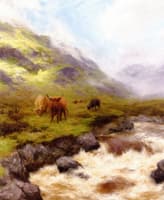 Among the Hills