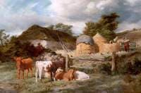 A Highland Croft