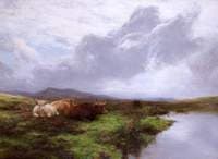 A Quiet Moorland