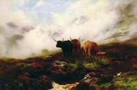 Caledonia, Stern and Wild
