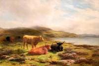 Highland Landscape