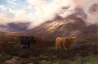 Highland Mists