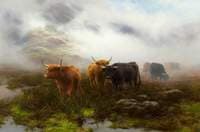 Moorland and Mist