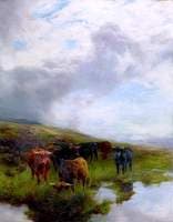 On the Moors