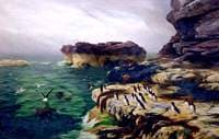 Seabirds' Home