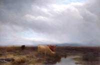 Sunshine after Rain