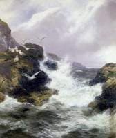 The Seabirds' Domain