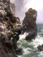 Where Gannets Build