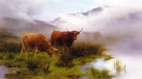 Moorland and Mist