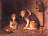 Foxhounds