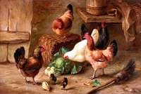 Hens with Their Young