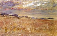 The Land near the Sea