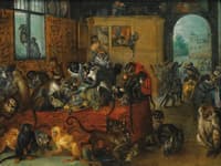 Feast of Monkeys