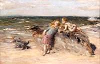 Summer Breezes