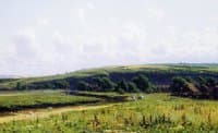The Smedova River