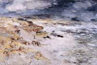 The Storm