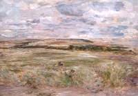 The Wind among the Grass