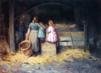 A Peep at the Pigs