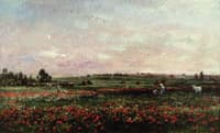 Fields in the Month of June